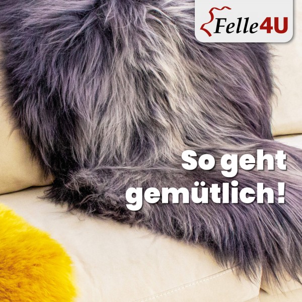 nordlandschnuckenfell_herbst