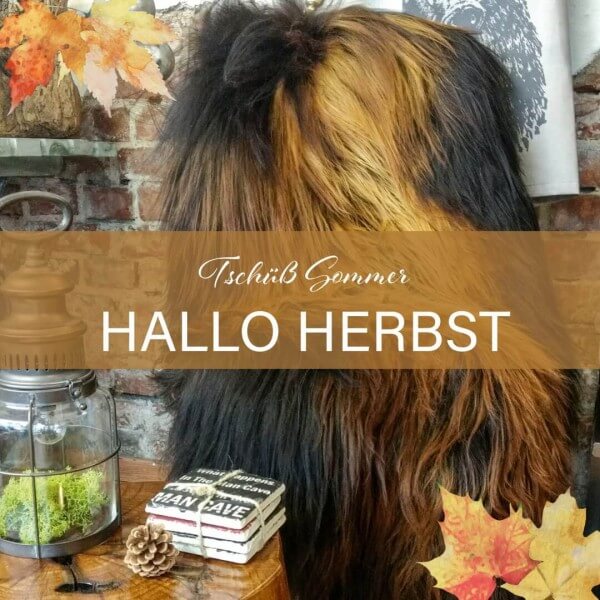 nordland_schnuckenfell_herbst