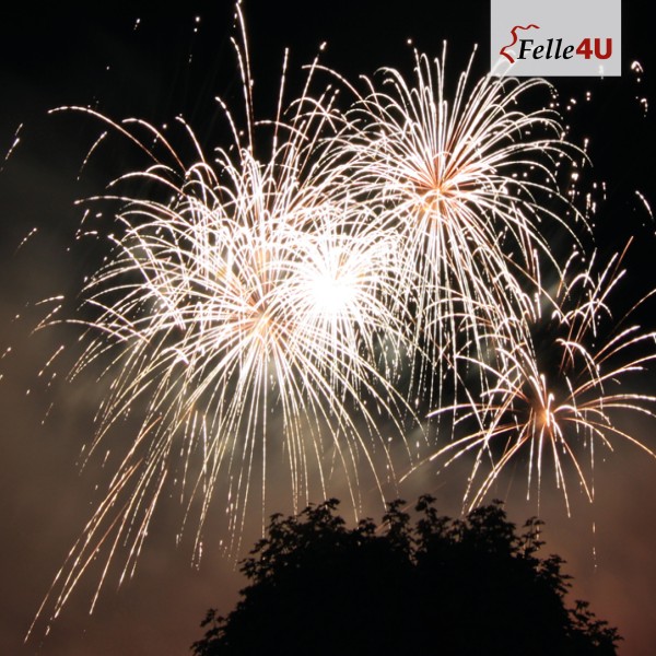 201231_Silvestergruss 201231_Silvestergruss