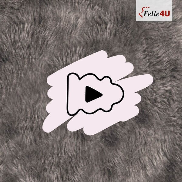 210211_australische_lammfell_youtube_video